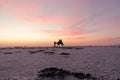 Tourists enjoying camel ride during evening at Rann of Kutch festival - Rann utsav - white desert - Gujarat tourism-India travel