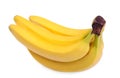 Great realistic illustration of the bunch of bananas, isolated on a white background. Healthful fruits.
