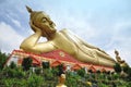 The great Reclining Buddha