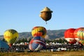 Great Reno Balloon Race Royalty Free Stock Photo