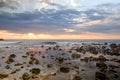 Rocks in the black sea and cloudy sky in sunrise. Nesebar Bulgaria Royalty Free Stock Photo