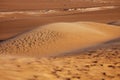 The great sahara desert near siwa Royalty Free Stock Photo