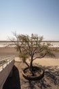 Great salt lake desert landscape and rest area at Bonneville Salt Flats summer Utah