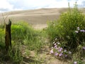 Great Sand Dunes