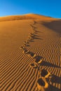 Great Sand Dunes