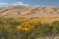 The Great Sand Dunes Rising Above the Fall Forest Royalty Free Stock Photo