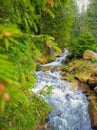 Great scenery view as river flowing through the mountain hills wild nature. Prut river in Carpathian Mountains, Hoverla Peak Royalty Free Stock Photo