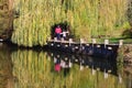 Stroll by the lake among yellowed leaves