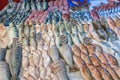 Great selection of fresh fish for sale Royalty Free Stock Photo