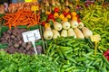 Great selection of vegetables Royalty Free Stock Photo