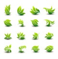 A great set of icons of stylized green leaves