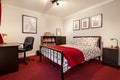 Black and red furnished bedroom