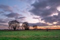 A great shot of colorful clouds during sunset and trees in a meadow