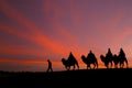 Great sky and caravan travelers riding camels. Royalty Free Stock Photo