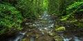 Great Smoky Mountain River Royalty Free Stock Photo