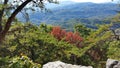 Great smoky mountains