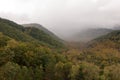 Great Smoky Mountains early morning