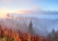 Great Smoky Mountains in fog. Royalty Free Stock Photo