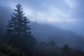 Great Smoky Mountains Fog
