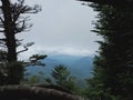 Great Smoky Mountains foggy forest after rainfall. Royalty Free Stock Photo