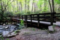 Great Smoky Mountains Kephart Prong Bridge