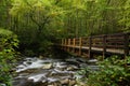 Great Smoky Mountains national park Royalty Free Stock Photo