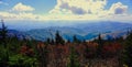 Great Smoky Mountains National Park. Blue Ridge Mountains, North Carolina. Appalachian. autumn foliage. peak fall color Royalty Free Stock Photo