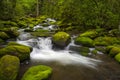 Great Smoky Mountains National Park Gatlinburg TN Royalty Free Stock Photo