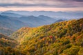 Great Smoky Mountains National Park Royalty Free Stock Photo