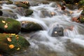 Smoky Mountain Waters