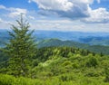 Great Smoky Mountains summer scenery.