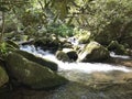 Great Smoky mtn park