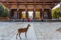 Great South Gate (Nandaimon) at Todaiji Temple in Nara