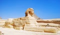 The Great Sphinx in Giza, Egypt Royalty Free Stock Photo