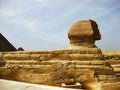 Great Sphinx in the Giza Plateau Royalty Free Stock Photo