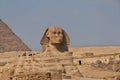 Great sphinx and pyramids of ancient Egypt in Giza, Cairo, Africa Royalty Free Stock Photo