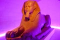 Great Sphinx of Tanis in purple illumination. Louvre Museum, Paris, France. Royalty Free Stock Photo