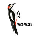 Great Spotted Woodpecker. Winter bird in a flat style. Forest animal.