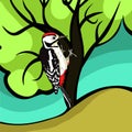 The great spotted woodpecker young. vector illustration