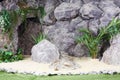 Great stones, sand, palm trees and other plants