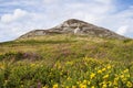 Great Sugar Loaf - Co. Wicklow Ireland Royalty Free Stock Photo