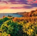 Great sunrise on Milazzo cape with nature reserve Piscina di Venere, Sicily, Italy, Europe. Royalty Free Stock Photo