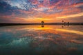 Great sunset reflection at paddy field Royalty Free Stock Photo