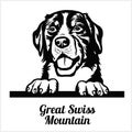 Great Swiss Mountain - Peeking Dogs - breed face head isolated on white