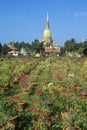 Great Temple of Auspicious Victory Wat Yai Chai Mongkol, Ayutthaya,Thailand Royalty Free Stock Photo