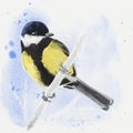 Great tit - Hand-painted paper.