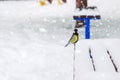 Great tit sits on bench covered snow in winter park, snowstorm. Royalty Free Stock Photo