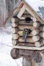 Great tit sits on feeder as small house