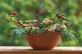 Great tit sitting on a rosehip branch in a winter themed flower bouquet arrangement, feeding.