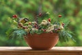 Great tit sitting on a rosehip branch in a winter themed flower bouquet arrangement, feeding.